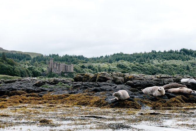 3-Day Isle of Skye, 'Hogwarts Express' Train and Highlands Tour - Your Portree stay: two nights in a 3-star B&B or hotel with breakfast