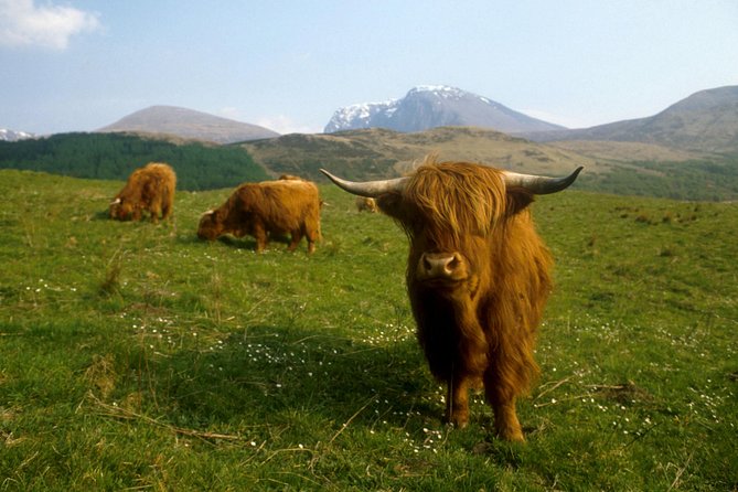 3-Day Isle of Skye, 'Hogwarts Express' Train and Highlands Tour - Transport and group size: why the bus setup feels different from DIY chaos