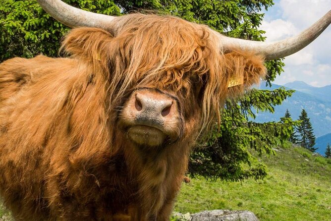 3 Day - Isle of Skye, Loch Ness & Glenfinnan Tour from Edinburgh - A 3-Day Highland Loop Without a Car, Starting at 7:30 am