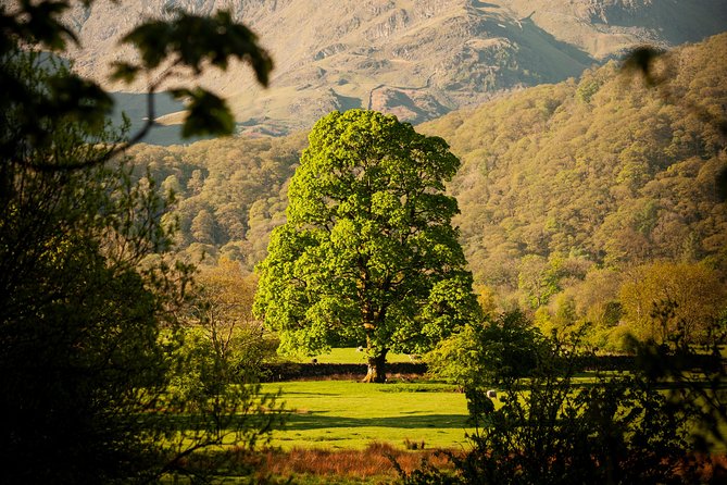 3-Day Lake District Explorer Small-Group Tour from Edinburgh - Day 2: Lake Windermere Cruise, Hawkshead, and Wordsworth at Grasmere