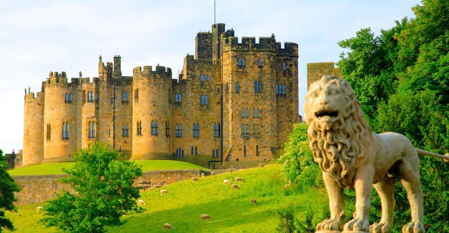 Alnwick: Alnwick Castle Ticket - Price and value: what you get for about $29