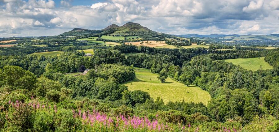 Alnwick Castle, Northumberland & Scottish Borders 1-Day Tour - Bamburgh beach and castle, a Viking Coast stop with real photo power