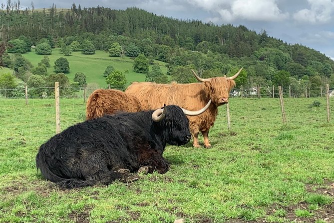 Central Highlands lochs Stirling Whisky private driving - The vehicle setup, guide style, and what you should expect