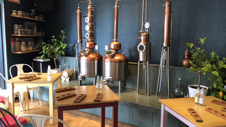 Distillery Masterclass - 8 Scottish gins paired with cheeses - Why 56 North Makes This Gin and Cheese Session Feel Real