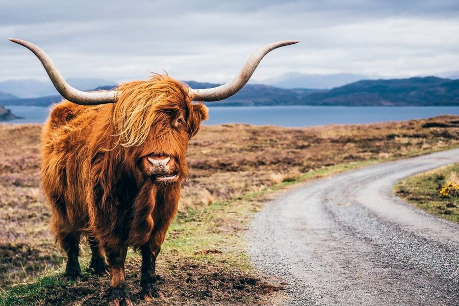 Edinburgh: 3-Day Isle of Skye, Highlands, and Loch Ness Tour - Meeting Edinburgh Where It’s Easy to Find