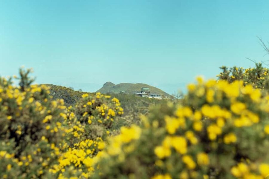 Edinburgh: Arthur's Seat Hike with Mountain Guide - Walking Back Down: The Best Time to Notice What You Missed