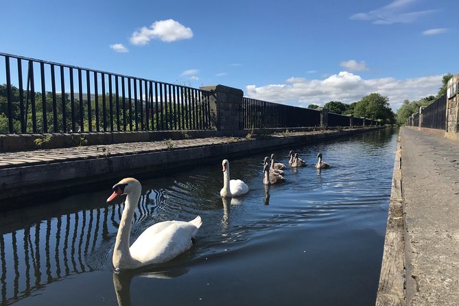 Edinburgh City Bike Tour - Choice of E-Bike or Manual - Holyrood Park Edge to Arthur’s Seat: The Volcanic Climb Without the Pain