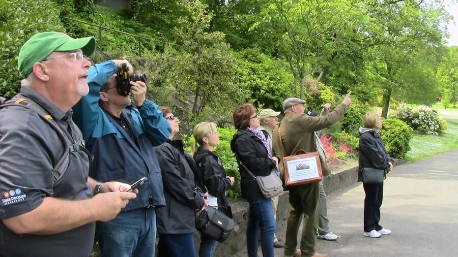 Edinburgh: City Highlights Private Guided Walking Tour - Grassmarket: traders, performers, and street energy since the 1400s