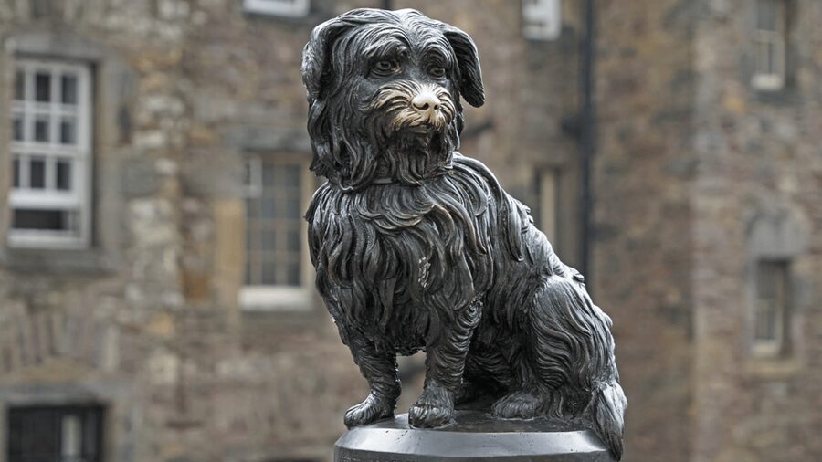 Edinburgh: Discover Edinburgh's Old Town Walking Tour - From Royal Mile Stories to St Giles Cathedral, Power in Stone
