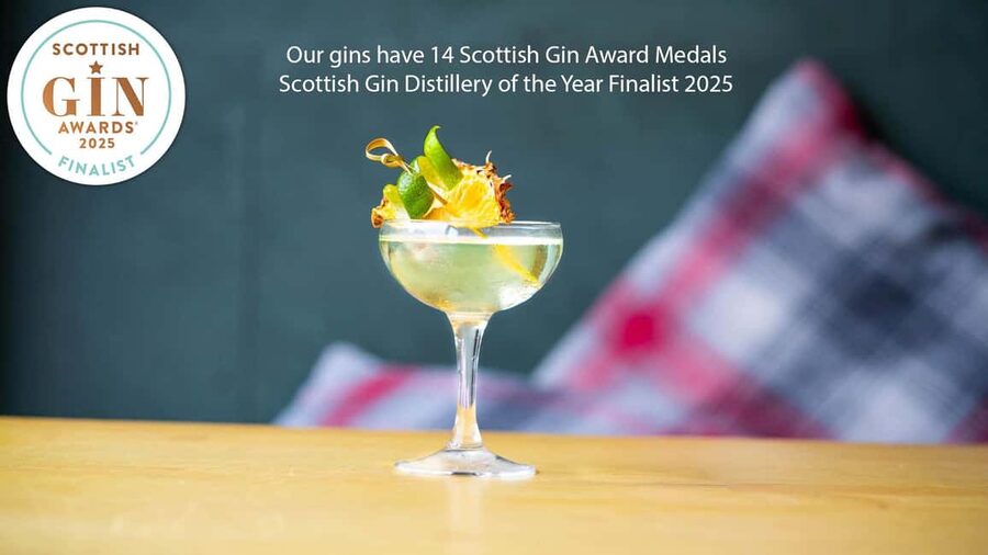 Edinburgh: Guided Gin Tasting at 56 North Distillery - The guided presentation: from concept to production