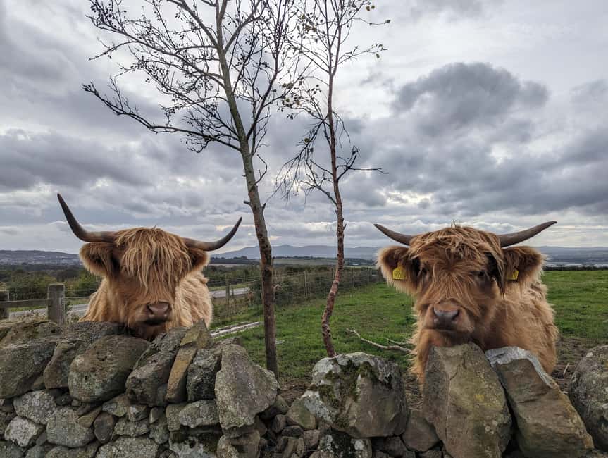 Edinburgh: Harry Potter, Glenfinnan Viaduct & Highland Tour - Why this private Harry Potter and Highlands day works so well
