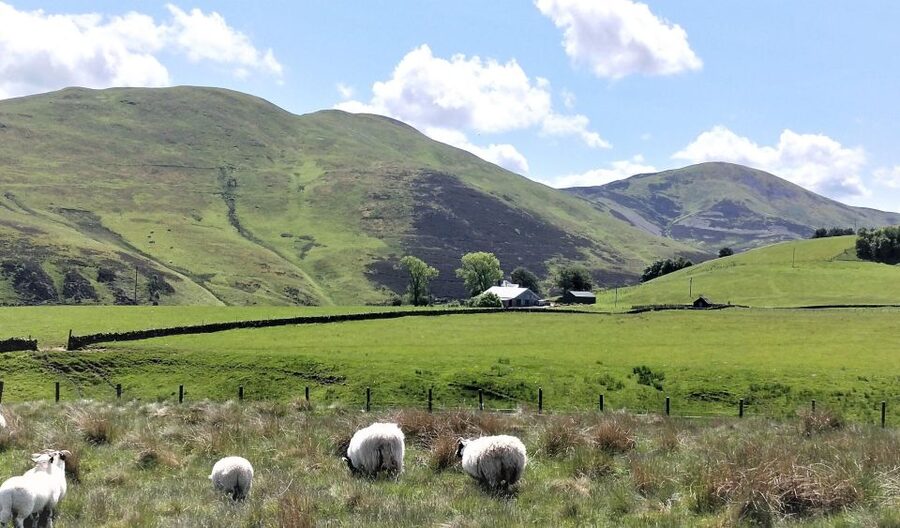 Edinburgh: Hill & Nature Hike With a Local - What to Bring: Footwear, Waterproofs, and Optional Poles