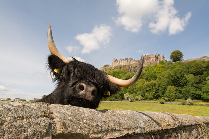 Edinburgh: Loch Lomond, Stirling Castle and the Kelpies Day Tour - Getting started in the morning: what your timing really needs