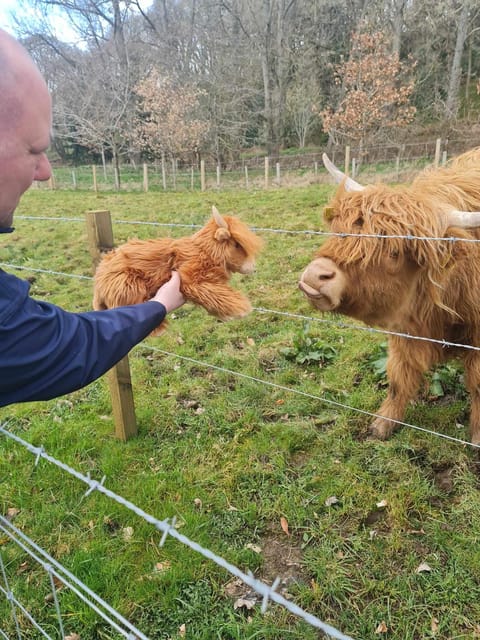 Edinburgh: Loch Ness, Glencoe, Coos & the Highlands Day Tour - Group size, comfort, and why the day can feel long even when it is fun