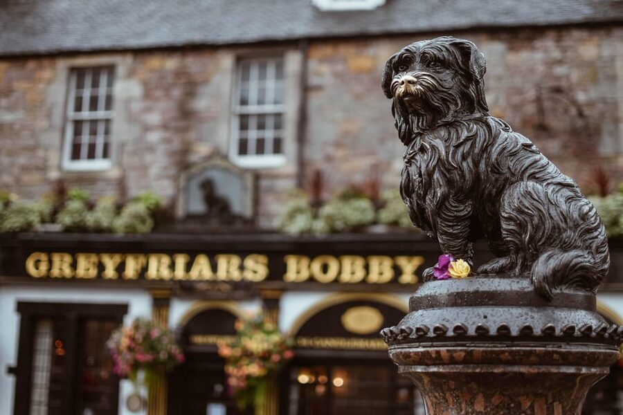 Edinburgh: Royal Mile Walking Tour & Exploration Game - Price and Value: When $37 Per Group Actually Works