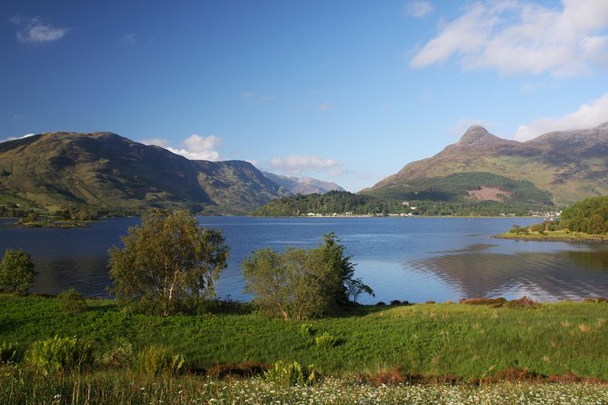 Edinburgh: The Ultimate Whisky Experience Tour - Price and value: $83.18 is the transport plus the day plan, not the tastings