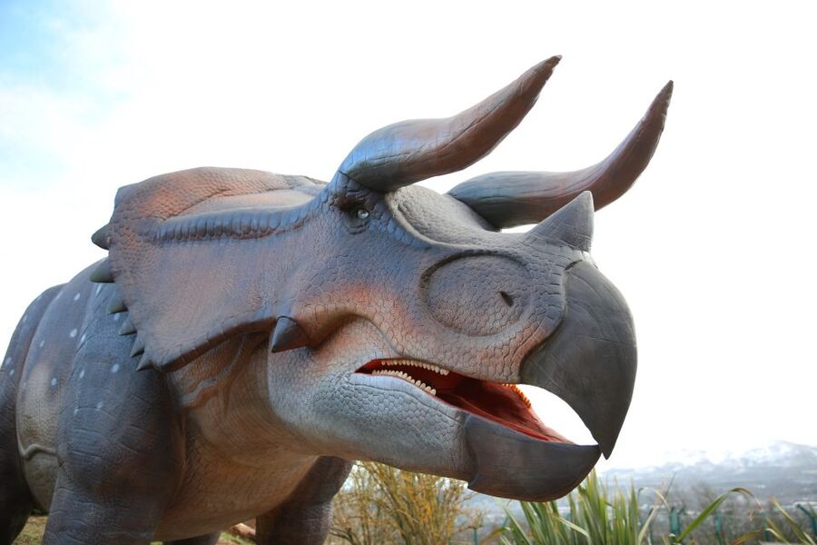 Edinburgh Zoo Entrance Ticket - Daily Animal Talks and Encounters: Where the Education Clicks