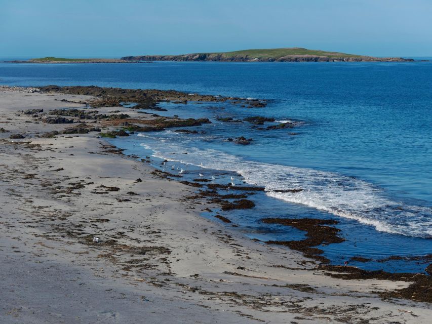 From Edinburgh: 6-Day Shetland & Nothernmost Explorer - Price and value: what you are really paying for at $67 per person