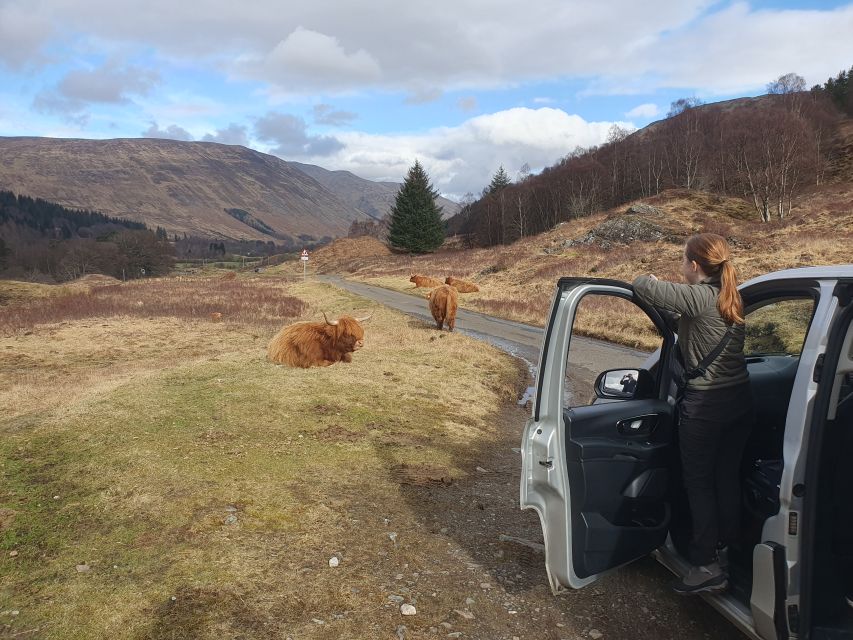 From Edinburgh: a Private Tour to a Majestic Highland Glen - Falls of Dochart near Killin: quick photos, then real breathing room