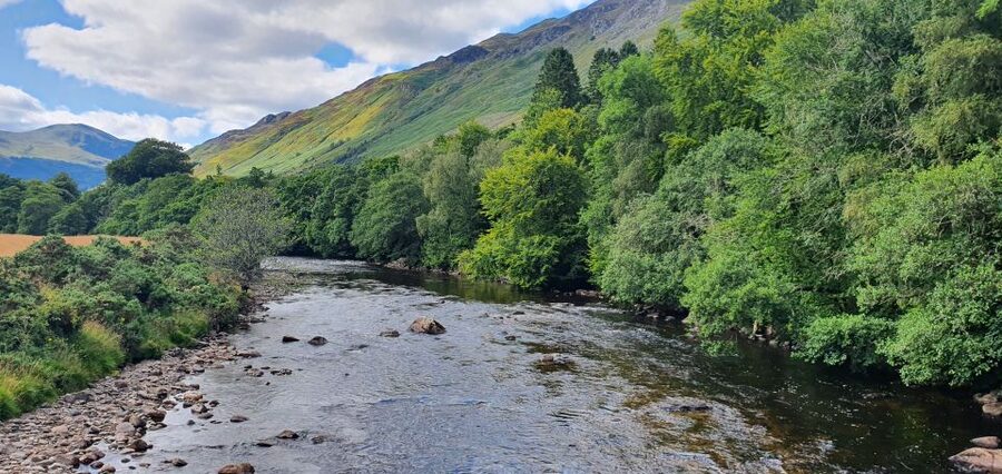 From Edinburgh: a Private Tour to a Majestic Highland Glen - The Lawers Range drive: heather moorlands and red deer odds
