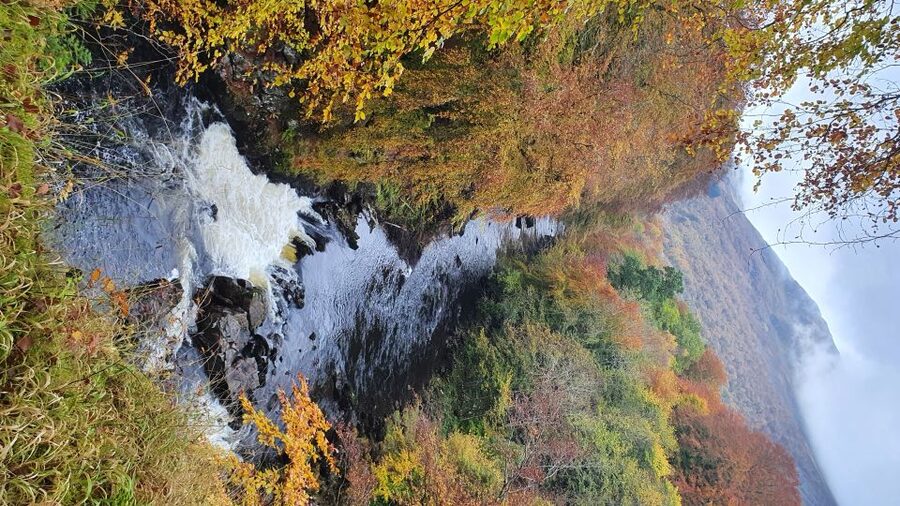 From Edinburgh: a Private Tour to a Majestic Highland Glen - Glen Lyon: the long, lonely glen, stone circles, and the Fortingall Yew