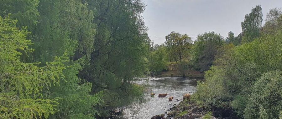 From Edinburgh: a Private Tour to a Majestic Highland Glen - Queensferry and the Forth Bridge: Victorian engineering, guided in 20 minutes