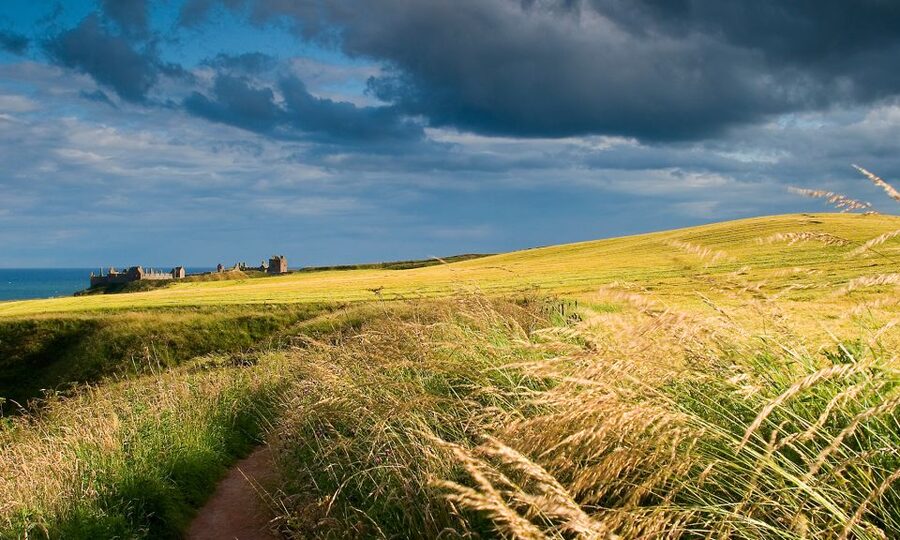 From Edinburgh: Glamis and Dunnottar Castles Tour in Spanish - Price and value: why around $71 can work