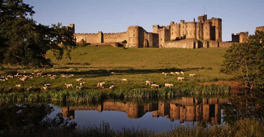 From Edinburgh: Holy Island, Alnwick Castle & Northumbria - Price and Value: Is $85 Fair for a 9-Hour Northumbria Day?