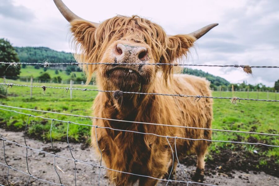 From Edinburgh: Isle of Skye and Outer Hebrides 6-Day Tour - Day 5: Sligachan, Cuillin Mountains, Eilean Donan Castle, Kilt Rock, and the Old Man of Storr
