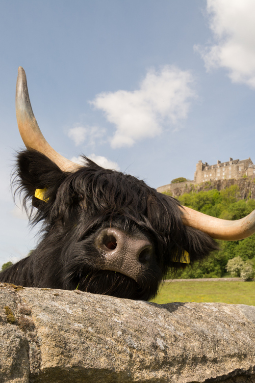 From Edinburgh: Loch Lomond, Stirling Castle & Kelpies Tour - Kelpies at 30 m: modern giants with old stories attached