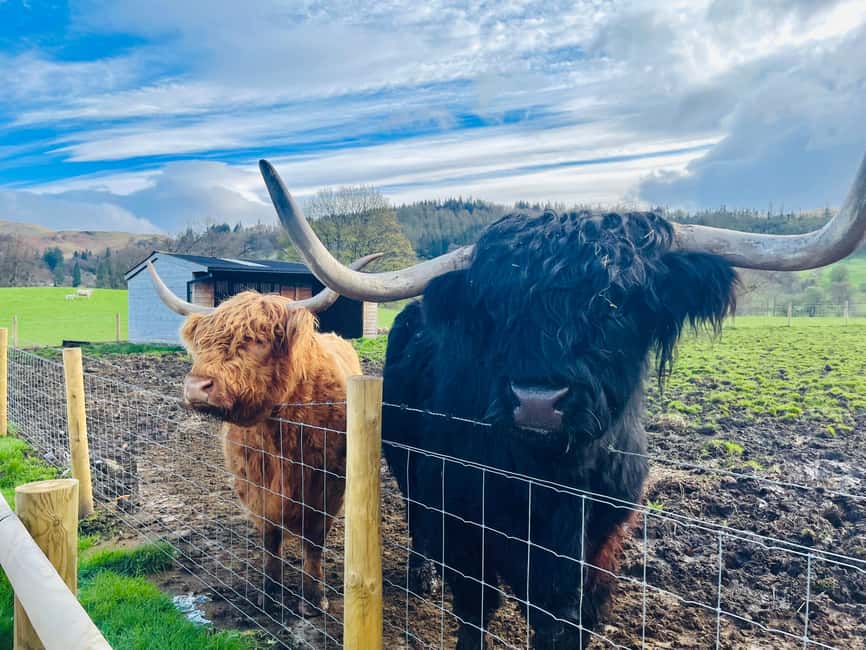 From Edinburgh: Loch Ness, Glencoe & The Highlands Day Trip - Key Highlights You’ll Actually Care About