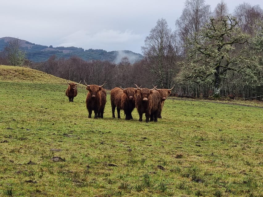 From Edinburgh: Loch Ness Private Day Tour with Transfers - Pickup, transfers, and the van comfort that actually matters