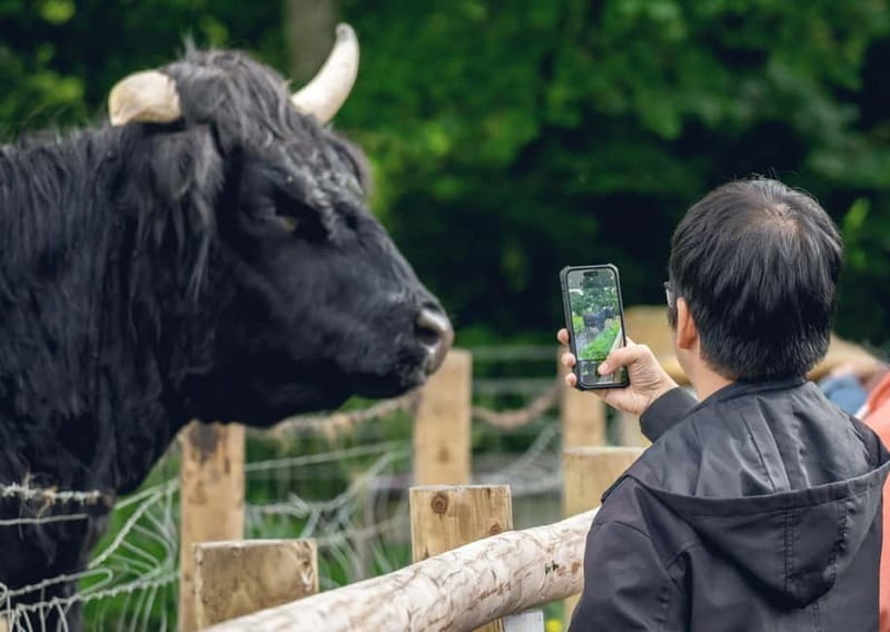 From Edinburgh: Stirling Castle, Kelpies and Loch Lomond - Loch Lomond and the Trossachs views near Balloch, plus your cruise option