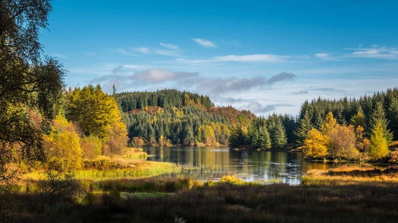 From Edinburgh: Stirling Castle, Kelpies and Loch Lomond - Price and value: what about $74 gets you, plus your optional extras