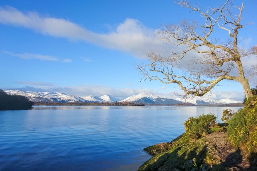 From Edinburgh: Stirling Castle, Loch Lomond & Whisky Tour - The guide experience: the real difference on this kind of day