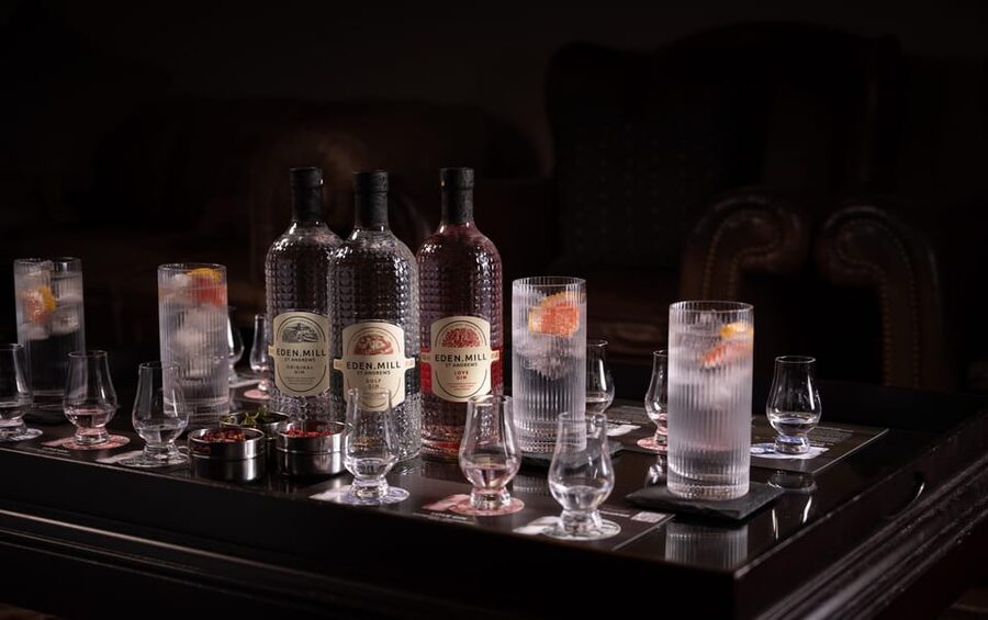 Gin Tasting Experience with a Perfect Serve - Crafting your own perfect serve for your favorite gin