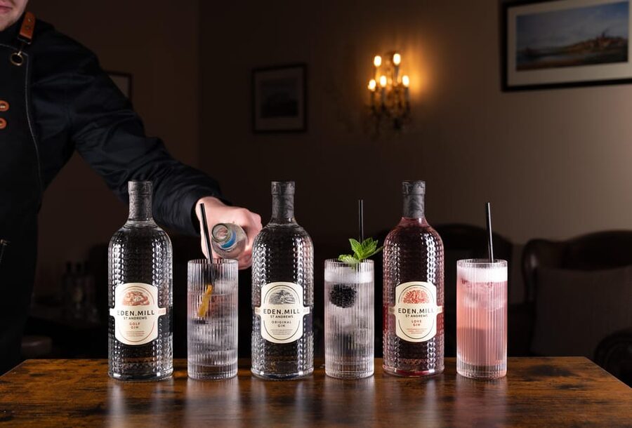 Gin Tasting Experience with a Perfect Serve - Who this gin tasting is best for in Edinburgh