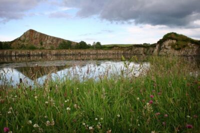 Hadrian’s Wall: 4.5-Hour Guided Tour