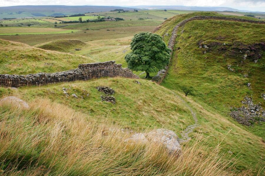 Hadrian's Wall: 4.5-Hour Guided Tour - Transport is the big decision: Cawfields to Vindolanda timing