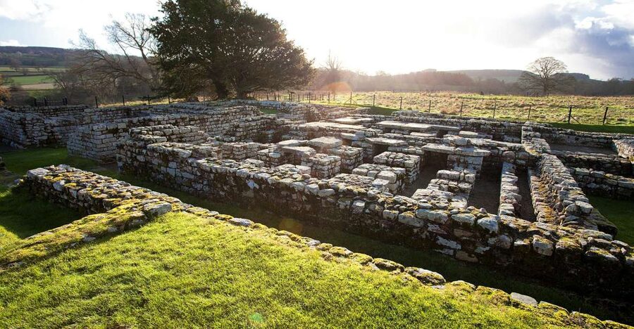 Hadrian's Wall: Chesters Roman Fort and Museum Entry Ticket - Key highlights you will actually feel on arrival
