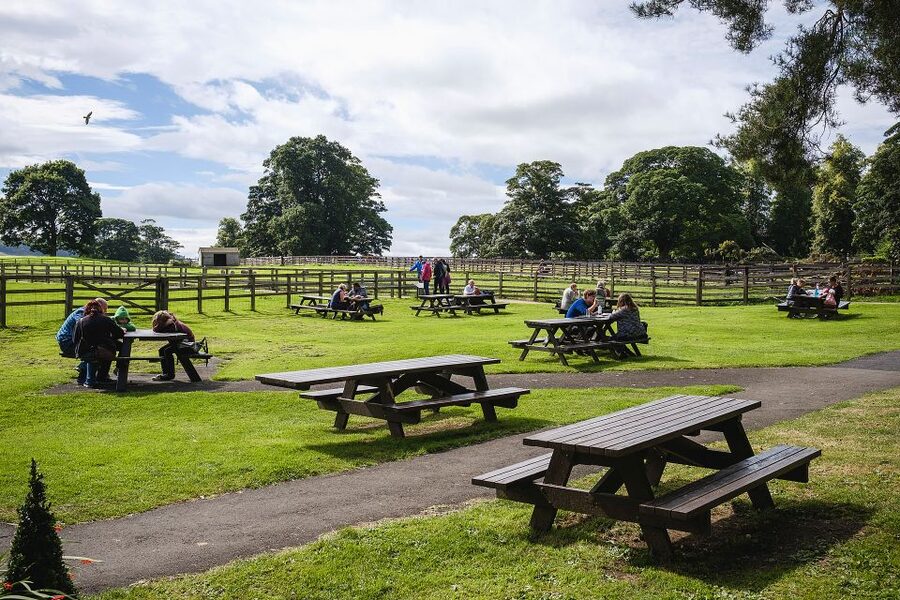 Hadrian's Wall: Chesters Roman Fort and Museum Entry Ticket - Price and value, what $13 gets you and when it might sting