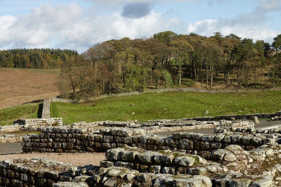 Hadrian's Wall: Housesteads Roman Fort Entry Ticket - Barrack blocks, hospital, and the Commander’s House