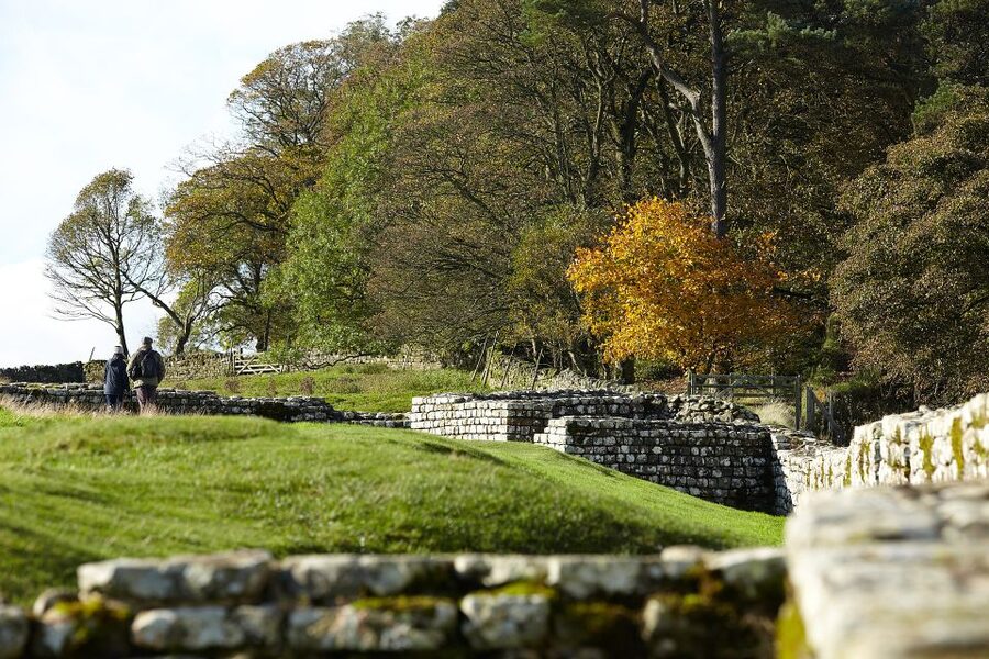 Hadrian's Wall: Housesteads Roman Fort Entry Ticket - The mini-cinema and Felix: film helps your brain connect dots