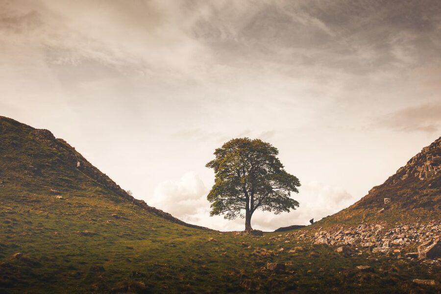 Hadrian's Wall & Roman Britain 1-Day Tour from Edinburgh - Carter Bar and the Cheviot Hills, where the border story is visible