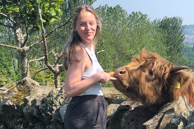 Highland Cows, Walk Alpacas & Scottish Wildlife Centre from Edin. - Price and value: how $937.56 per group can make sense