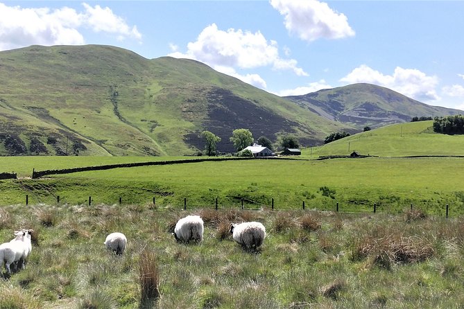 Hill & Nature Hike - Discover Real Edinburgh With a Local Expert - Snacks, water, and what you should bring anyway