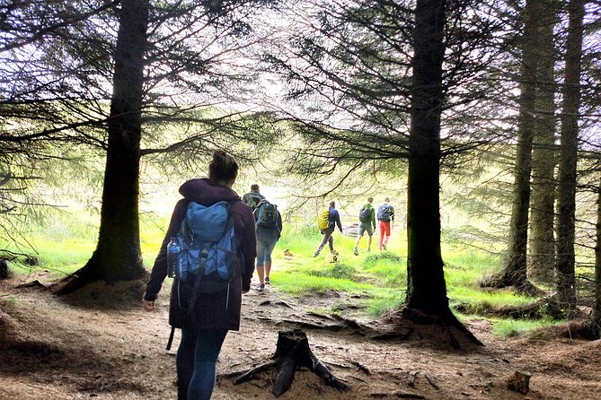 Hill & Nature Hike - Discover Real Edinburgh With a Local Expert - Weather reality: the walk goes on, so dress like it might rain