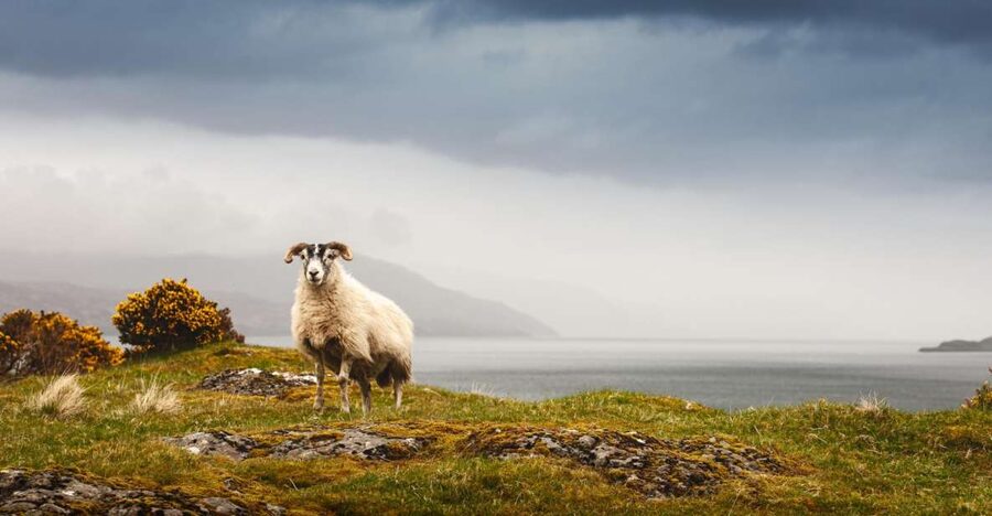 Iona, Mull, and Isle of Skye: 5-Day Tour from Edinburgh - Day 3: Loch Linnhe to Glencoe, Fort William by Ben Nevis, and Eilean Donan to Plockton
