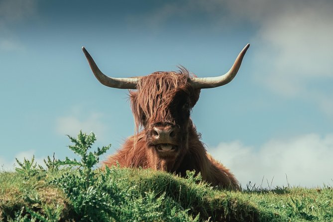 Loch Ness, Glen Coe & The Highlands Day Tour from Edinburgh - Glencoe stop: fast views, big stories, and the 15-minute reality