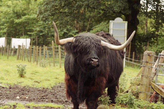 Loch Ness, Glencoe and The Scottish Highlands Tour from Edinburgh - The short “views” stops: Loch Tulla and quick rock stops